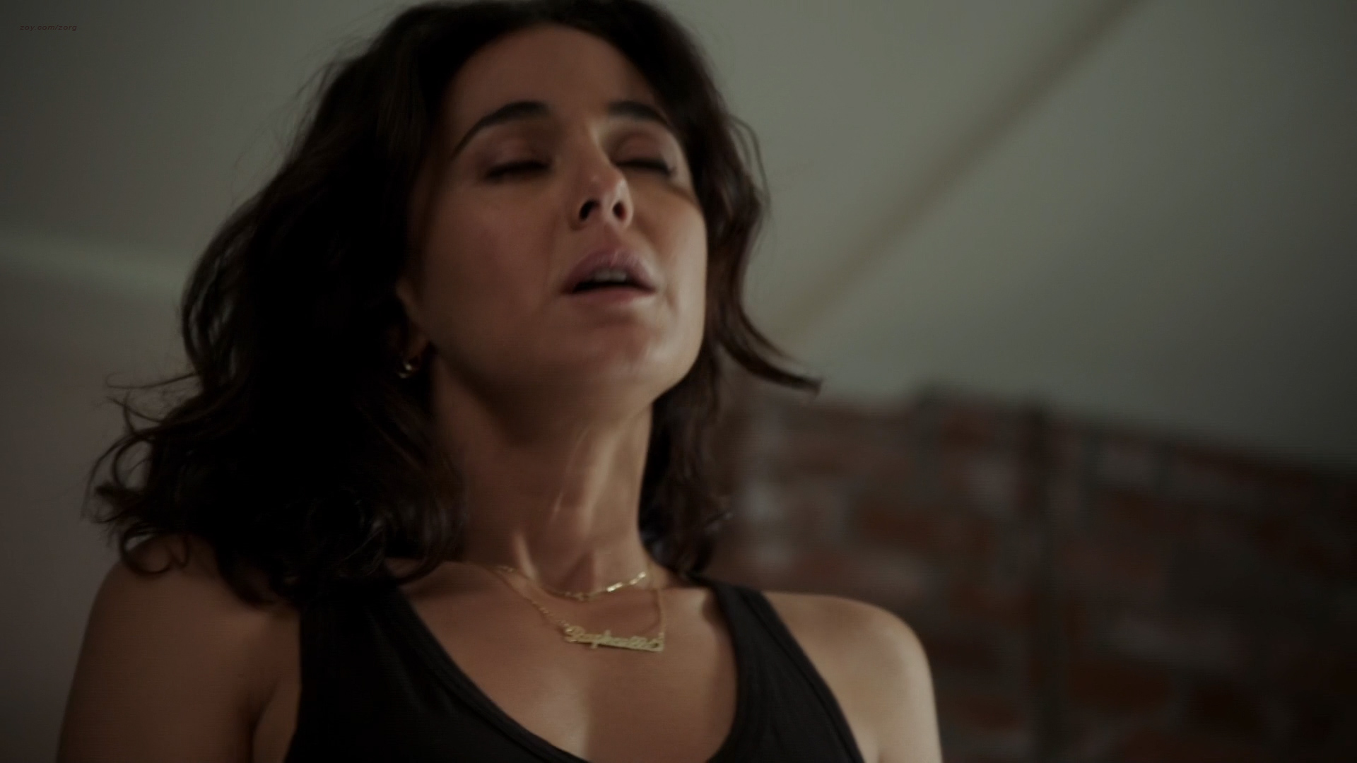 Hot lesbian emmanuelle chriqui and adrianne palicki 5