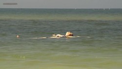 Sarah Jones not nude but bikini hot and sex - Still Green (2007)