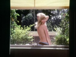 Susan Penhaligon nude topless and Geraldine Moffat nude too - The Last Chapter (1974) (5)