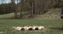 Julia Hummer nude bush Sarah Grether and Anna Eger nude full frontal - Top Girl (DE-2014) (20)