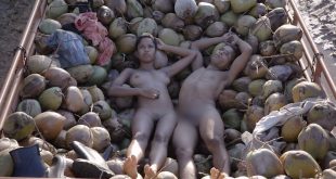 Dandara de Morais nude bush, butt and boobs - Ventos de Agosto (BR-2014) (3)