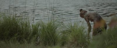 Lucy Walters nude butt, wet and topless - Here Alone (2016) HD 1080p Web (5)