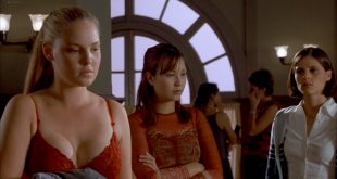 Katherine Heigl hot Emmanuelle Chriqui leggy Marissa Ribisi nude - 100 Girls (2000) HD 1080p WEB (9)