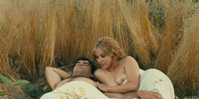 Marie-France Boyer nude topless and sex Claire Drouot nude too - Le Bonheur (FR-1965) HD 1080p BluRay (2)