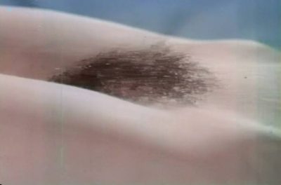 Monica Gayle nude bush and lot of sex Uschi Digard busty - Sandra, the Making of a Woman (1970) (7)