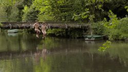 Léa Mesnil nude full frontal - Trois (FR-2013) HD 1080p WEB (2)