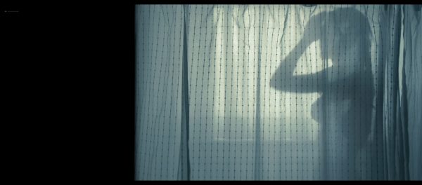 Amanda Seyfried nude see-through in the shower - Gone (2012) HD 1080p BluRay (14)