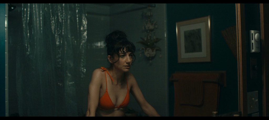 The Rental