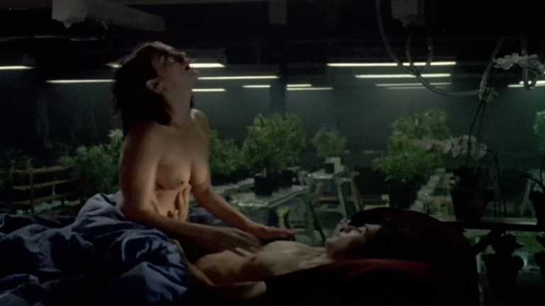 Marie-Josée Croze nude and sex – Ararat (2002) HD 1080p Web