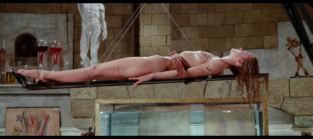 Flesh for Frankenstein