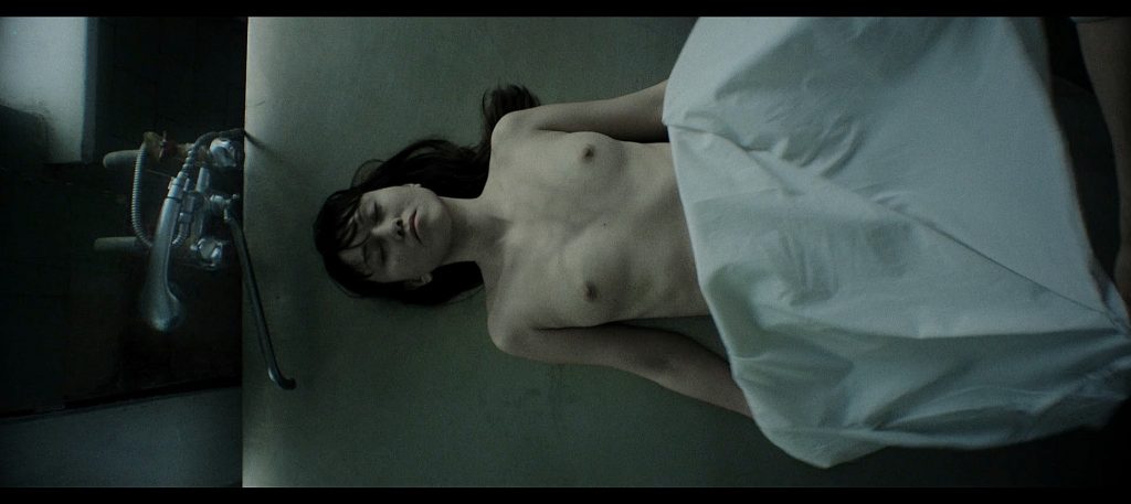 Sleepless Beauty