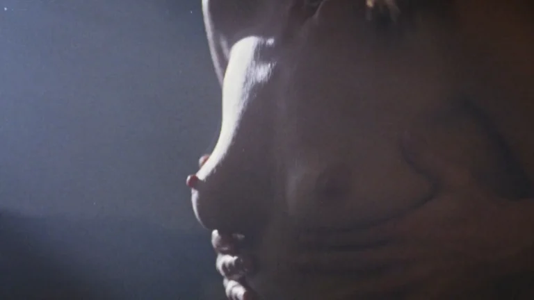 Nanette Bianchi nude hot sex scenes in Killers (1996)