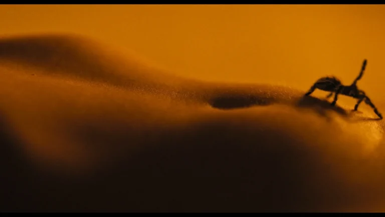 Nell Tiger Free hot sexy scenesin The First Omen (2024)
