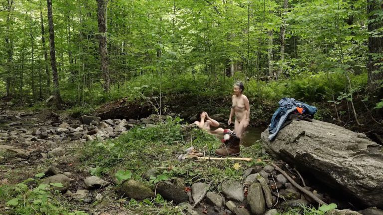 Jane Adams nude full frontal scenes in Build the Wall (2020)