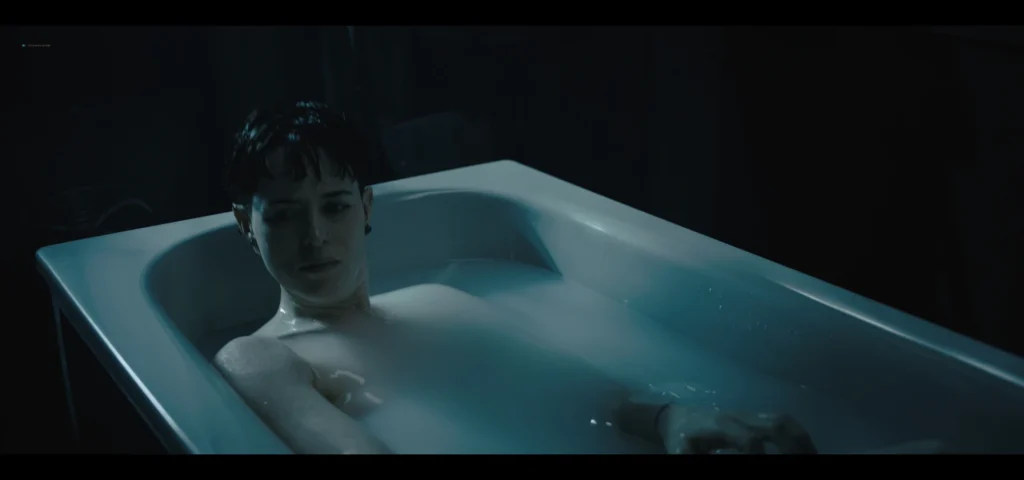The Girl in the Spider's Web
