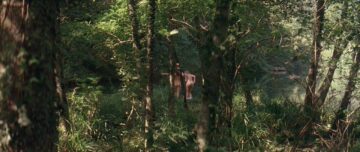 Virginie Ledoyen nude topless bush skinny dipping and Aitana Sanchez-Gijon nude bush - Bosque de sombras (2006) hd720p Virginie Ledoyen nude topless bush skinny dipping and Aitana Sanchez-Gijon nude bush - Bosque de sombras (2006) hd720p (5)
