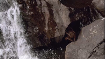 Diane Lane nude brief topless sex and wet - A Walk on the Moon (1999) hd1080p Diane Lane nude brief topless sex and wet - A Walk on the Moon (1999) hd1080p (4)