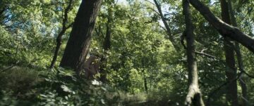 Magdalena Boczarska nude bush Justyna Wasilewska nude- The Art of Loving Story of Michalina Wislocka (PL-2017) HD 720p BluRay Magdalena Boczarska nude bush Justyna Wasilewska nude- The Art of Loving Story of Michalina Wislocka (PL-2017) HD 720p BluRay (7)