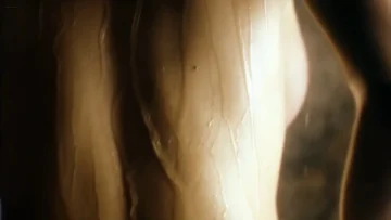 Elia Galeranude nad sex in La mujer mas fea del mundo ES 1999 1080p Web 15 Elia Galeranude nad sex in La mujer mas fea del mundo ES 1999 1080p Web 15