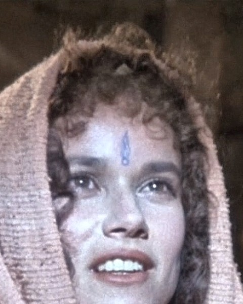 Barbara Hershey