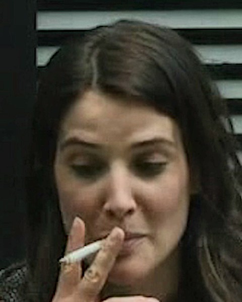 Cobie Smulders