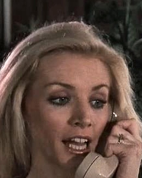 Shannon Tweed